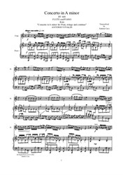 Vivaldi - Concerto in A minor for Flute and Piano