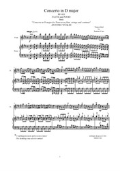 Vivaldi - Concerto in D major for Flute and Piano