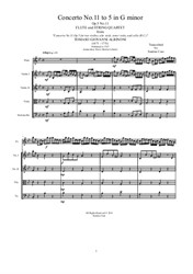 Albinoni - Concerto No.11 in G minor for Flute and String Quartet