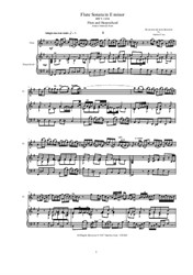 Bach - Flute Sonata in E minor for Flute and Harpsichord (or Piano)