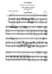 Rossini - La gazza ladra (Act 1s5) Vieni fra queste braccia - tenor and piano