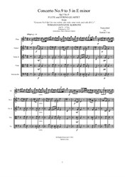 Albinoni - Concerto No.9 in E minor for Flute and String Quartet
