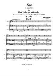 Trio Concerto in E minor for Flute, Violin and Violoncello