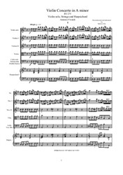 Vivaldi - Violin Concerto in E minor for Violin, Strings and Harpsichord