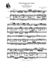 Bach - Violin Sonata in G major for Violin and Harpsichord (or Piano)