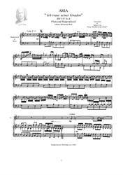 Bach - Aria (Ich traue seiner Gnaden) for Flute and Harpsichord
