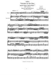 Bach. Aria (Gelobet sei der Herr, mein Gott, mein Heil) for Bassoon and Harpsichord